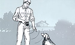 Ultraschall-Hundetrainer im Einsatz